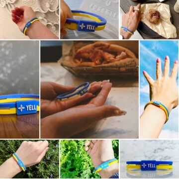 松坂大輔NPB公認バット marucci 松坂大輔NPB公認バット marucci - メルカリ