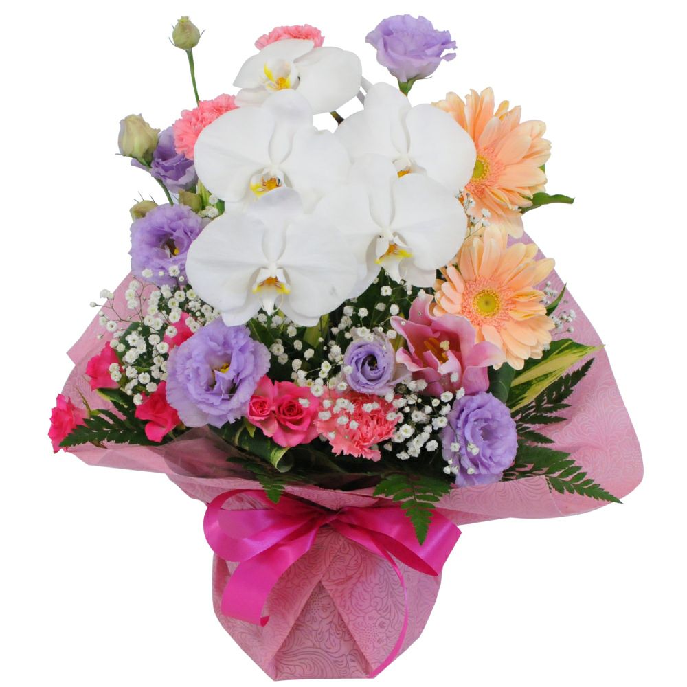 お供え用 胡蝶蘭の洋風アレンジメント | 花工房エーデルワイス