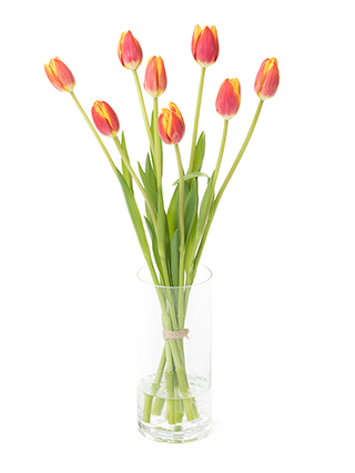 生花】チューリップ ダウジョーンズ【赤オレンジ/40cm/新潟県
