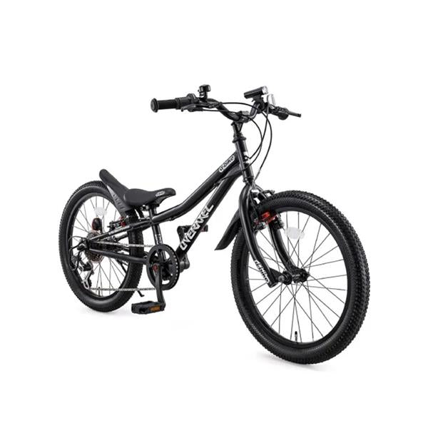 Dバイク D-Bike OVERAXEL 20 2024 子供自転車 20インチ 4歳～9歳 [D