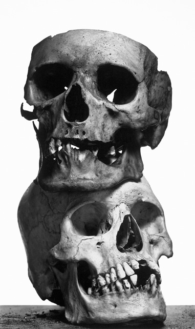 The Quizzical Chamois – Irving Penn's Cranium Architecture