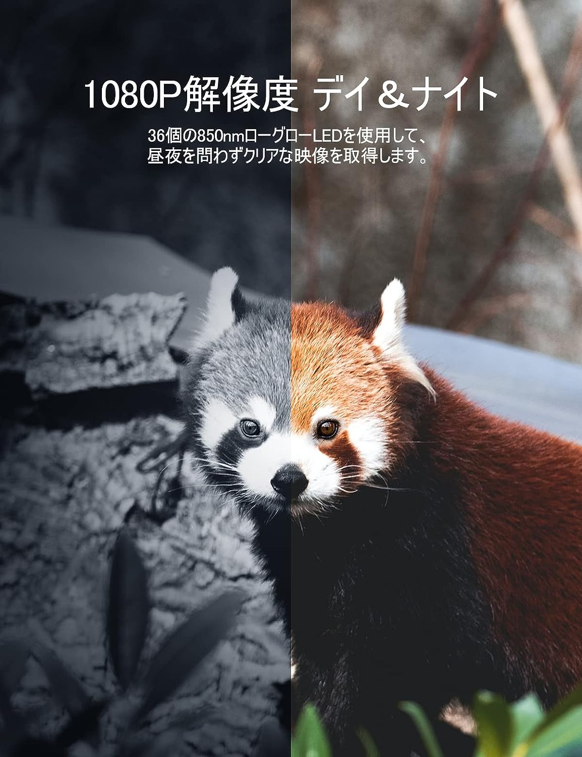 トレイルカメラ 防犯カメラ 監視カメラ センサーカメラ 自動撮影カメラ