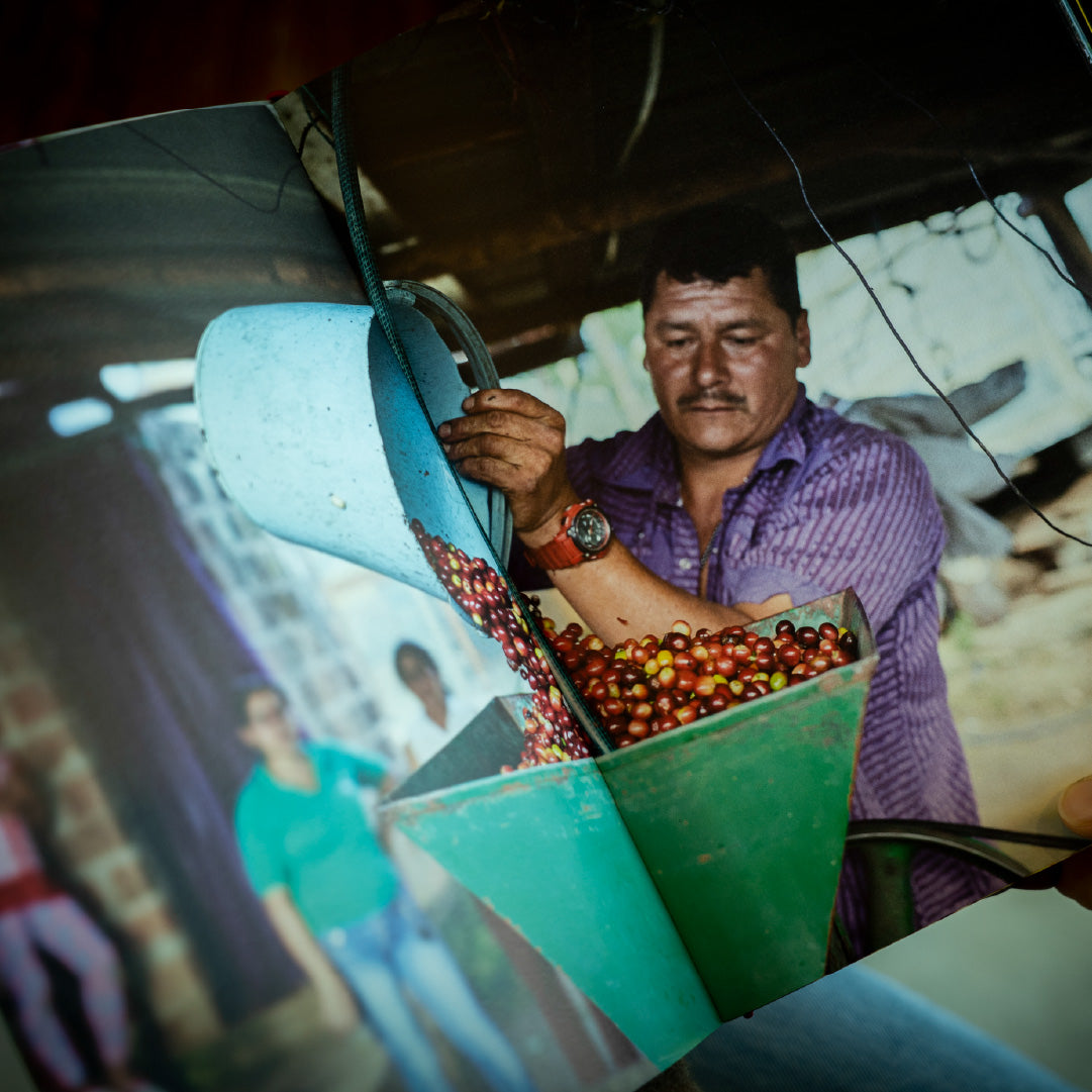 写真集 [Beber Mi Sudor] by Jake Green - FUGLEN COFFEE ROASTERS TOKYO