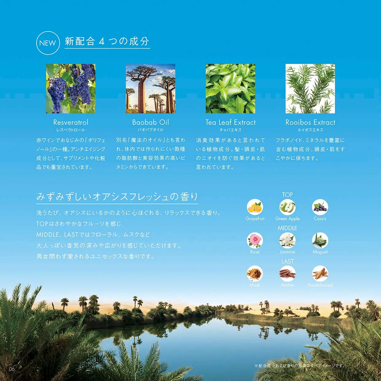 POLA カラハリ フェイスケア 4点キット［台紙付］100包 - life