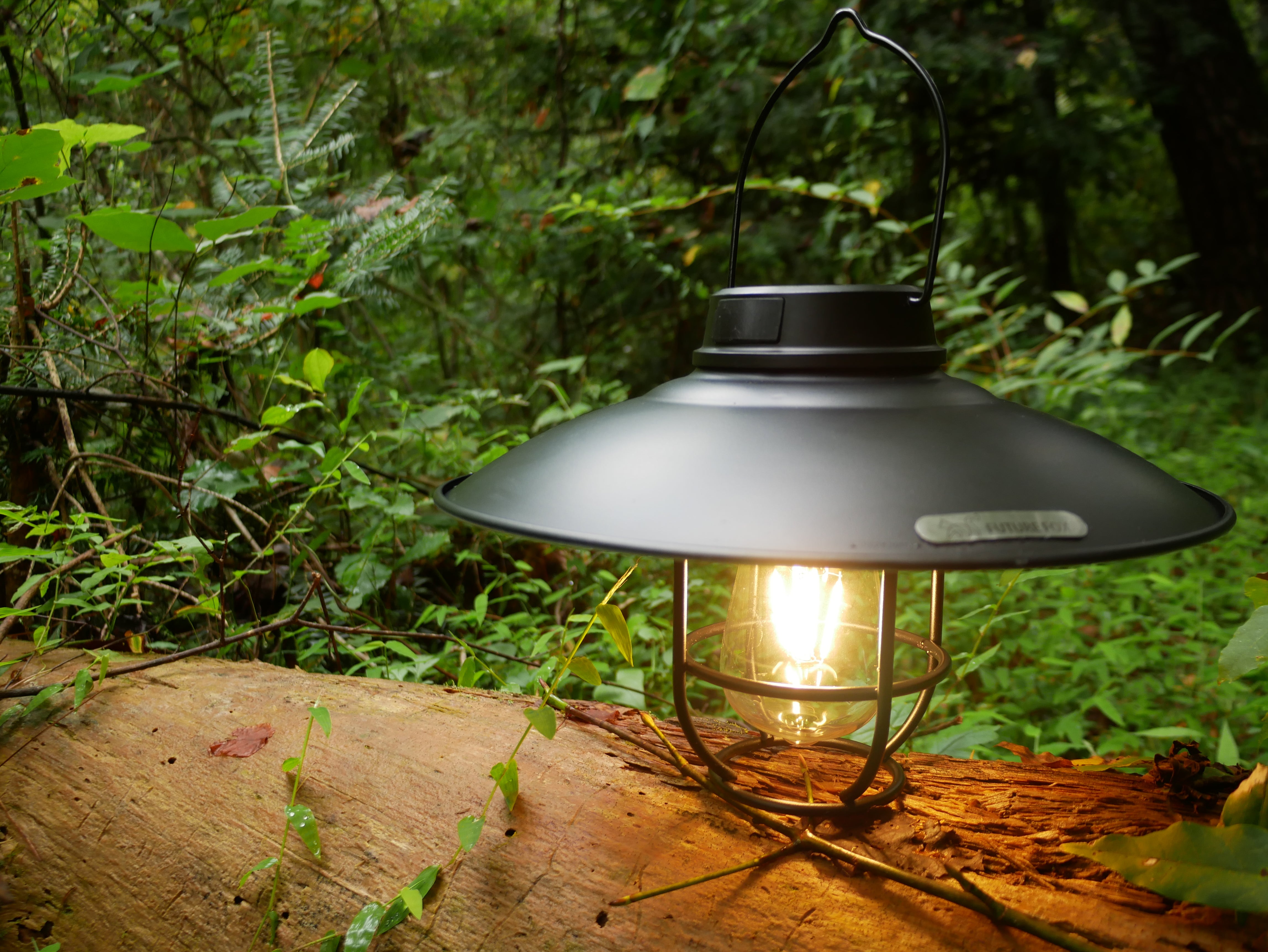 P1410058.jpg?v=1711414879&