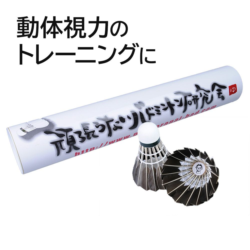 コンフォートナノ1000-9＆トレーニング特集 | 頑張らないバドミントン