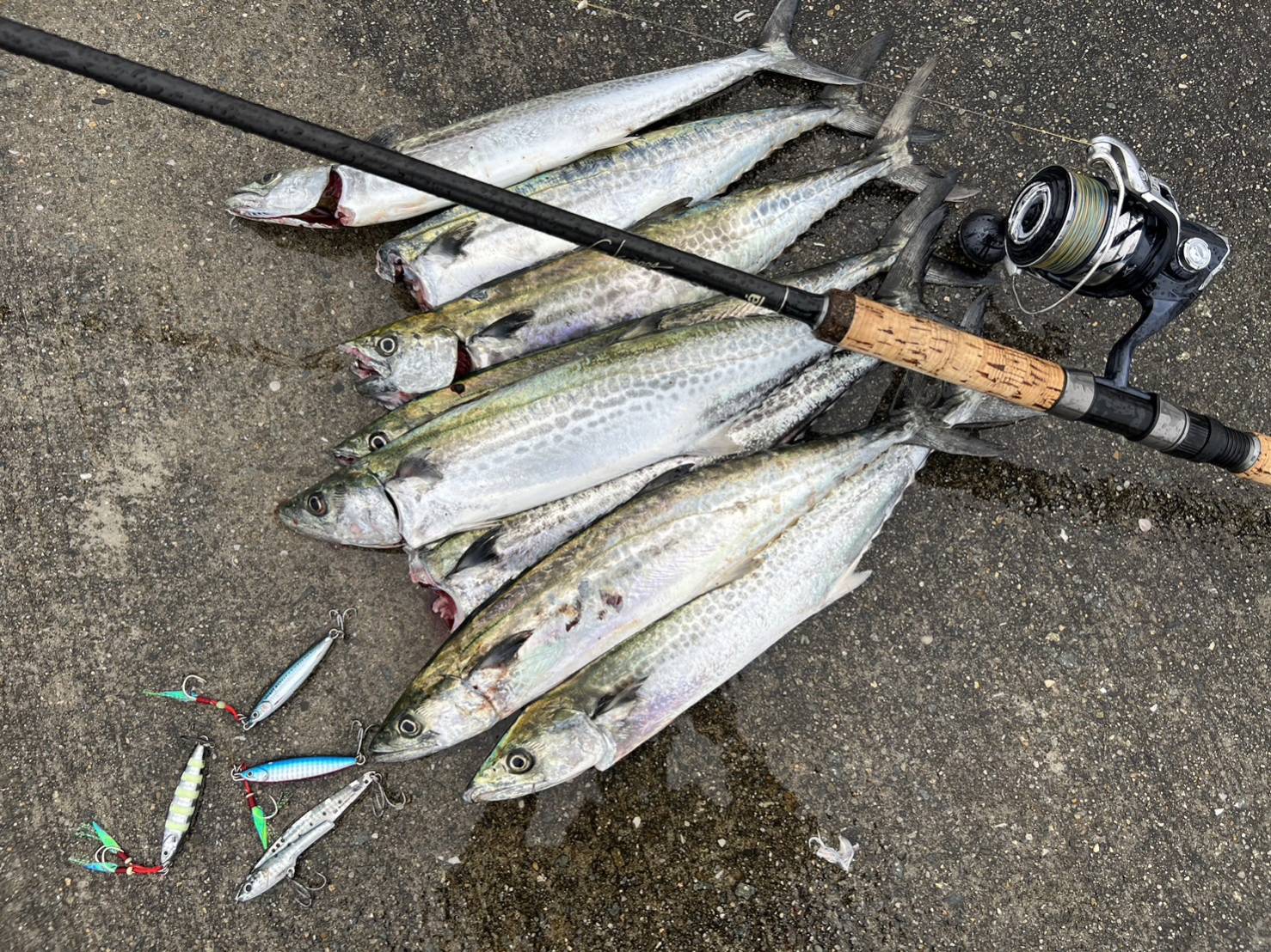 Shore Jig Stick – galapagos-fishing