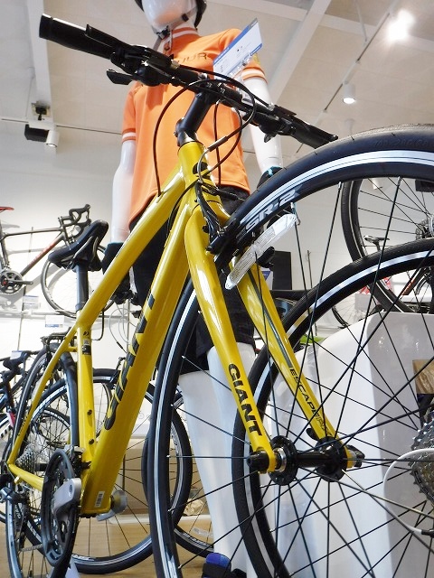 2017モデル、エスケープ RX 2 入荷しました。 ｜ ジャイアント