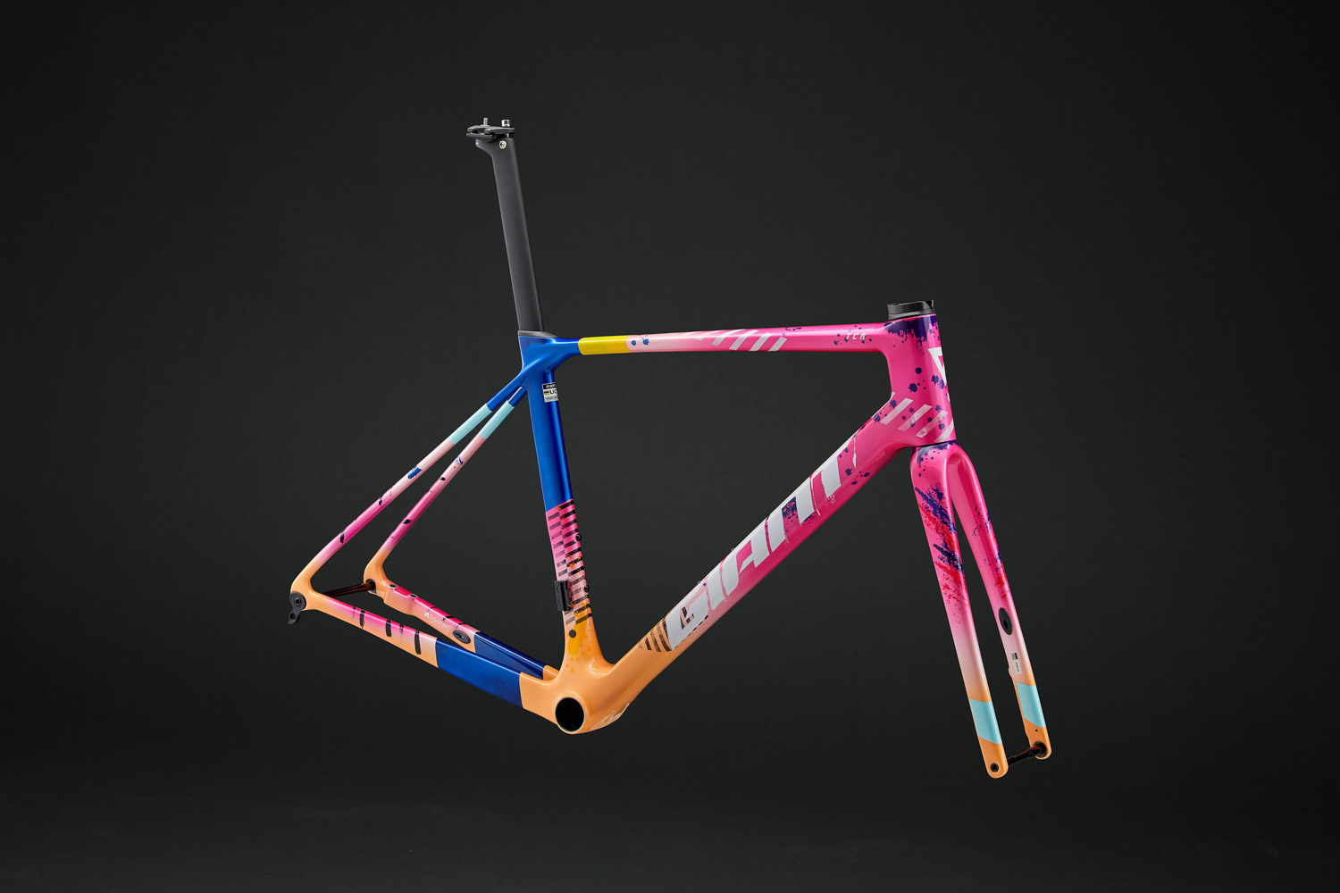 南国土佐に映える「フレームセット」 ｜ ジャイアントストア高知