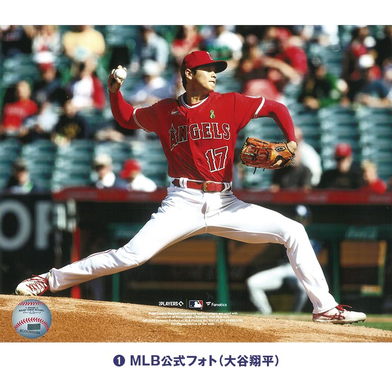 イチロー×大谷翔平」 直筆サインボール＆公式フォト2枚セット 【通常
