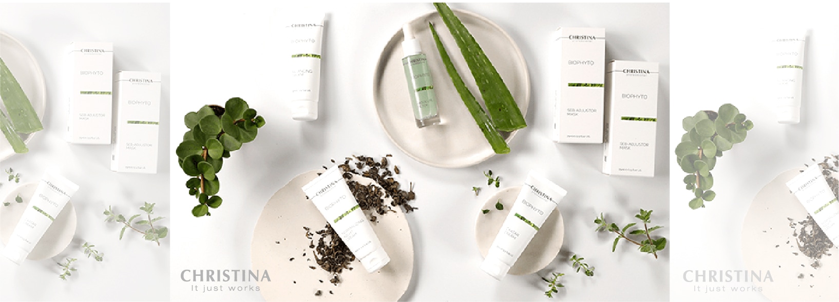 クリスティーナ ビオフィート ノーマライジング ナイトクリーム