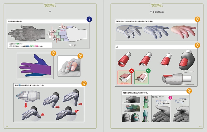 スカルプターのための美術解剖学 | 書籍,テーマから探す,モデリング