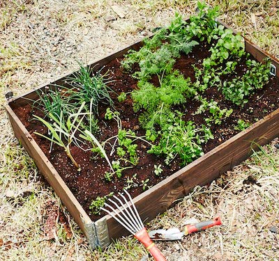 a+ガーデンボックス ナチュラル・ブラック｜d'weL