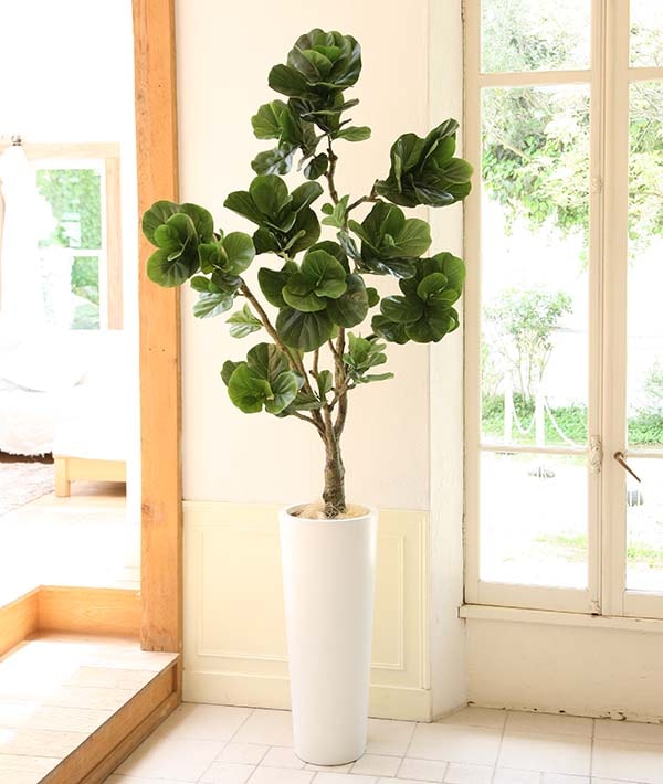 フェイクグリーン カシワバゴム1800｜フェイクグリーン・人工植物 専門