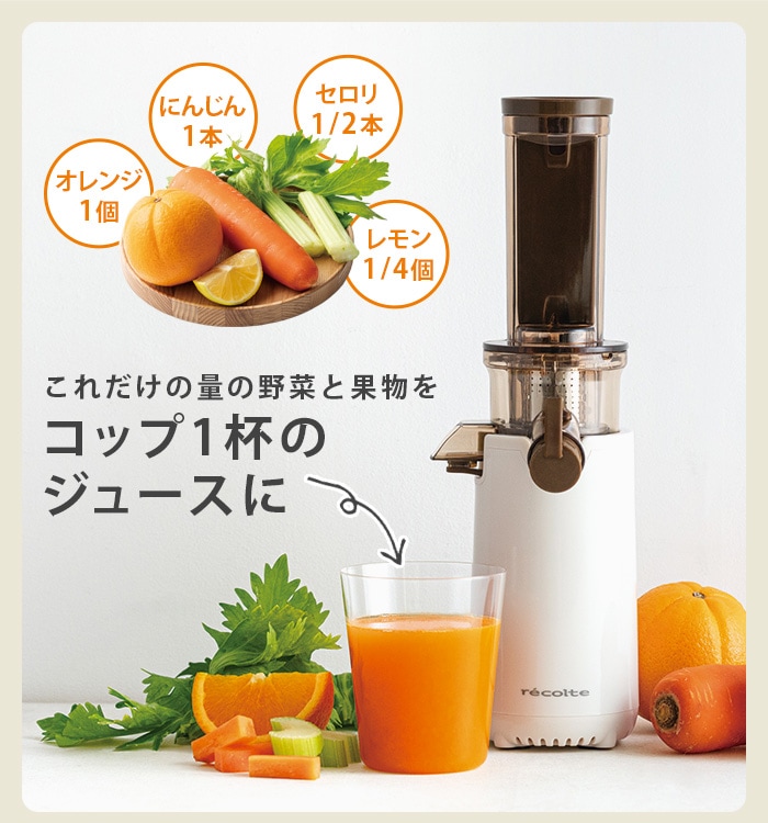 レコルト コールドプレスジューサー ミニ RCJ-1 recolte Coldpress
