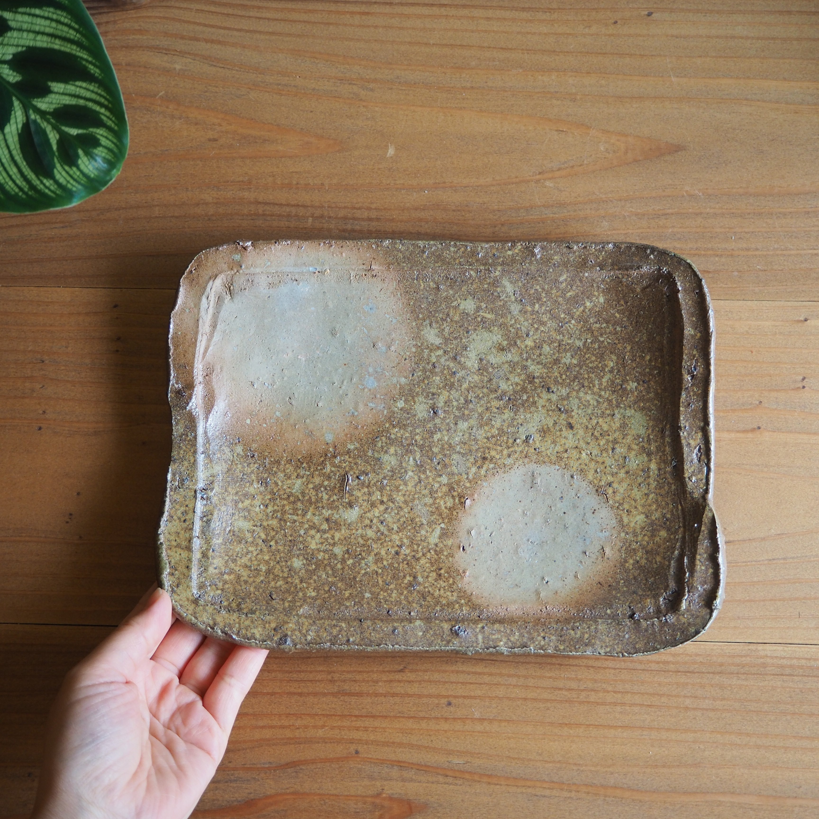 P6230731.jpg?v=1690512211&