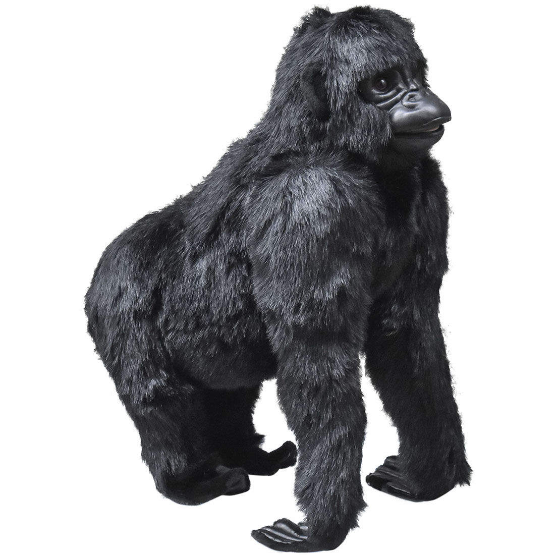 ゴリラ(仔) 65 | HANSA