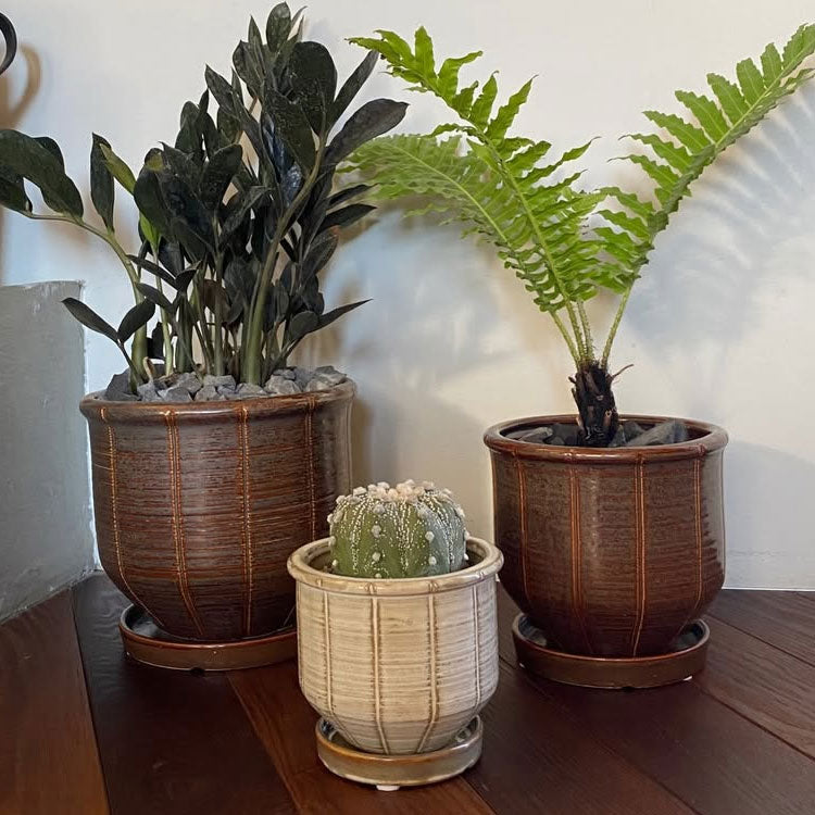 YD026-140 – 鉢人