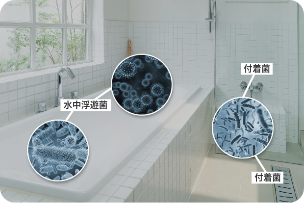 JOKER｜ハタノ製作所