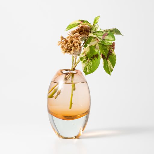 Jerzy L ライトローズ