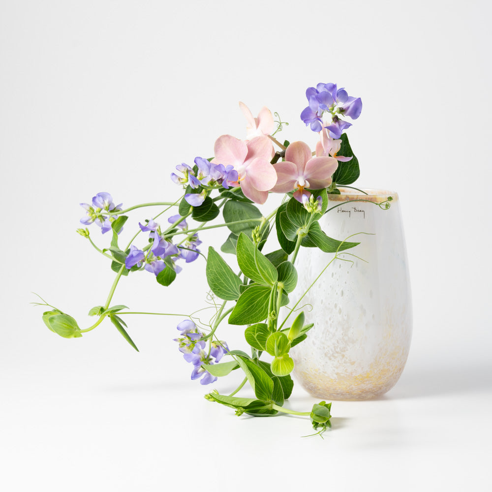 Sambor high S コルゾ