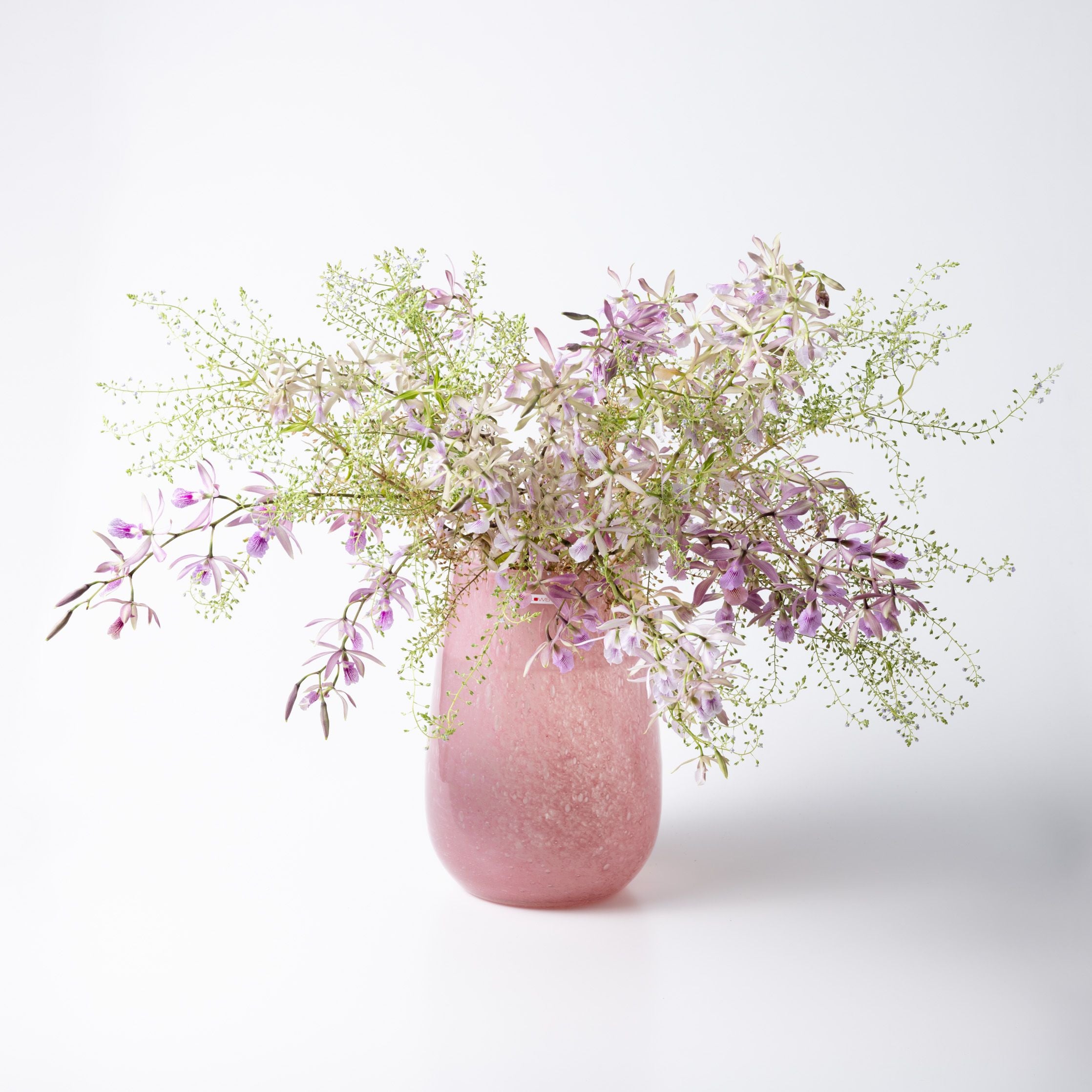 Stromboli S ブロッサム