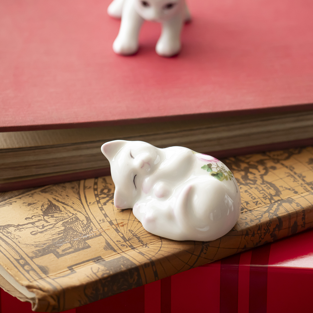 キャットコレクション2026