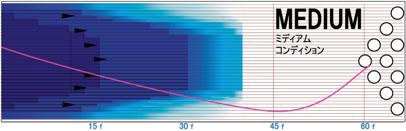 INFINITE PHYSIX - ハイスポーツ社 ：信頼のボウリング用品販売