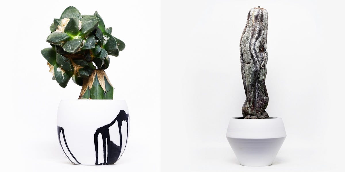 叢」と陶芸家の吉田直嗣による展覧会がスタート | ELLE DECOR [エル・デコ]