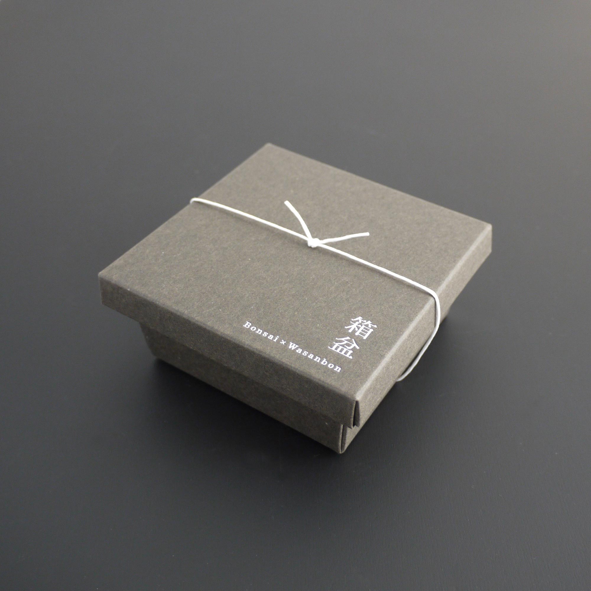 箱盆 仕立てる和三盆（高松盆栽と和三盆） – HIYORI WASANBON 日和制作