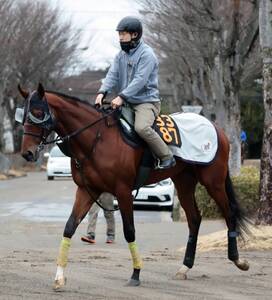 報知杯弥生賞・三戸の特注馬】三浦騎手も高評価のタイダルロックが皐月