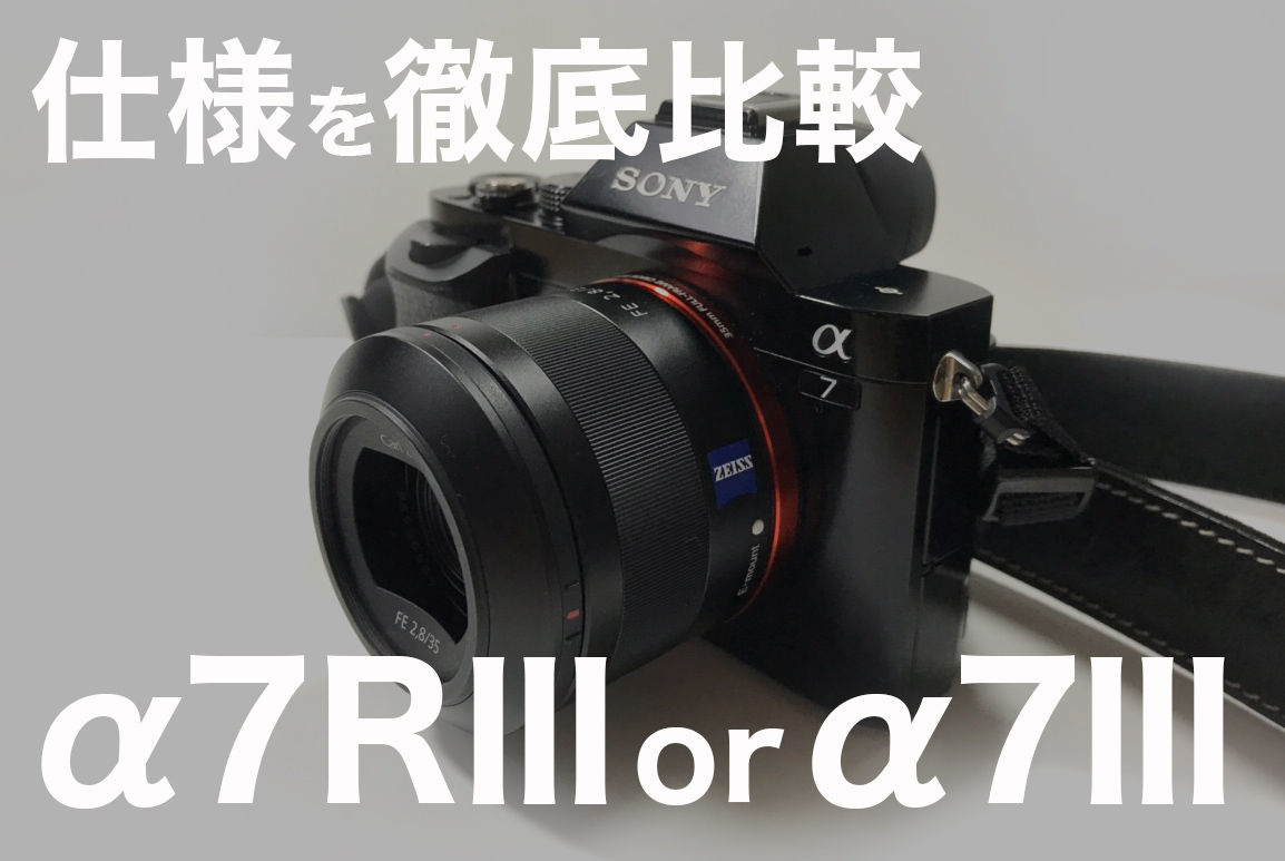 α7Ⅲを買う前に知っておきたい！α7RⅢとα7Ⅲを徹底比較 | Hot One