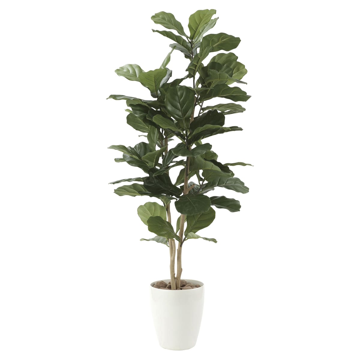 光触媒 人工観葉植物 ウォールグリーン フェイクグリーン アセビ215gg