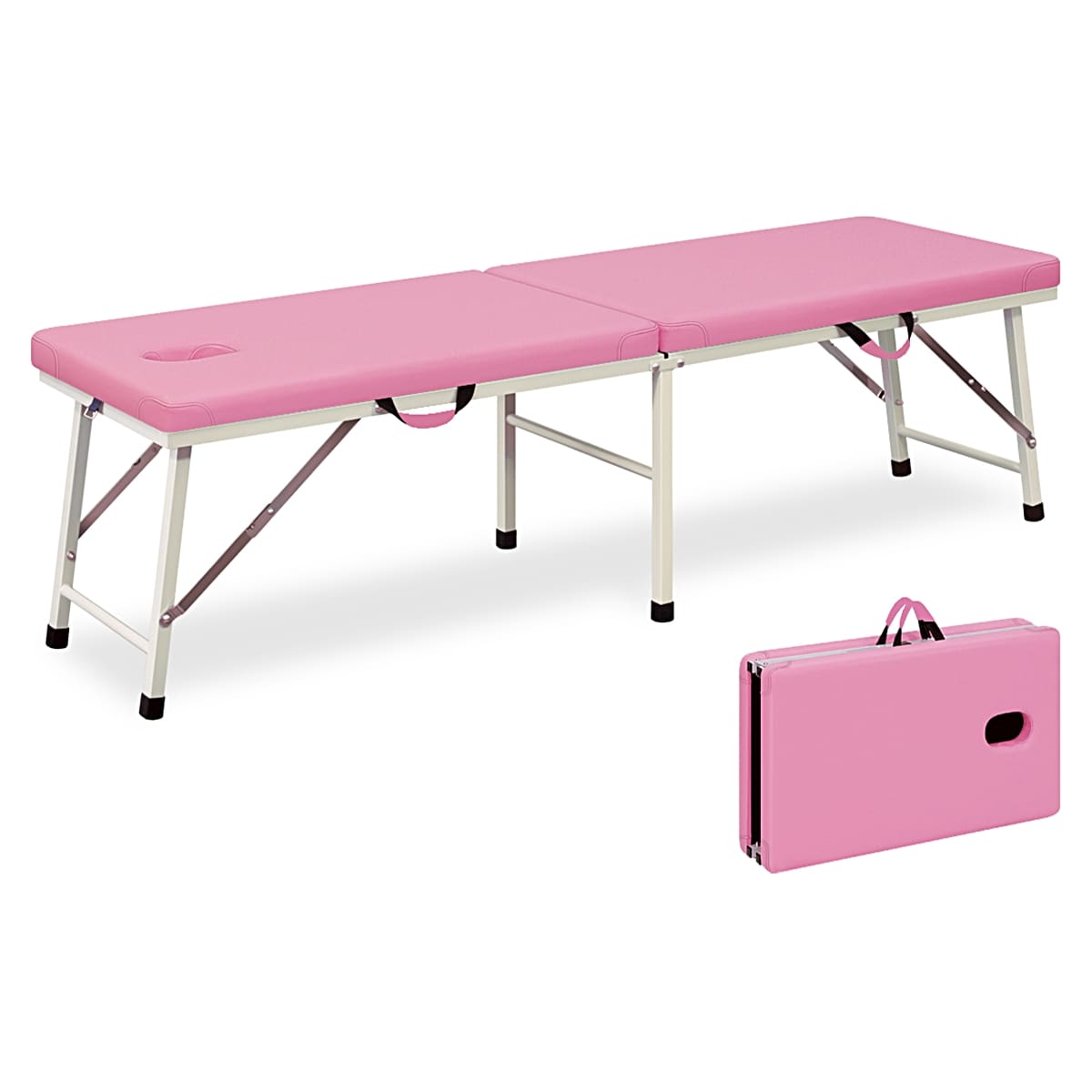 粉体ムーブDX TB-1009／TB-1009U｜高田ベッド