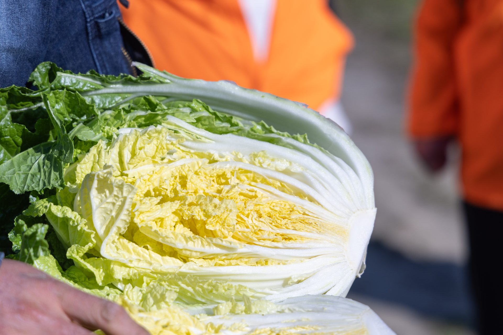 ソト活#11】仙台市若林区にある山田農園さんを訪ねましたVol.3