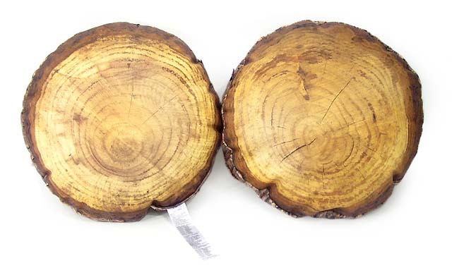 Mero Wings フォレスト ラウンド クッション 40 Forest | □interior