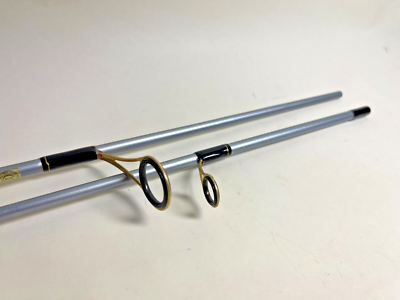 Daiwa PROCASTER X 602MLFS-V Spinning Rod | eBay