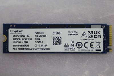 Kingston SNV2S/500G - OS21005/512G PCIe NVMe M.2 SSD 0M8PGP4512