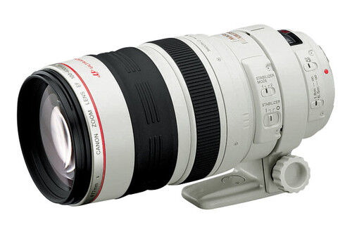 Canon EF 100-400mm f/4.5-5.6 IS DO L USM Lens for sale online | eBay