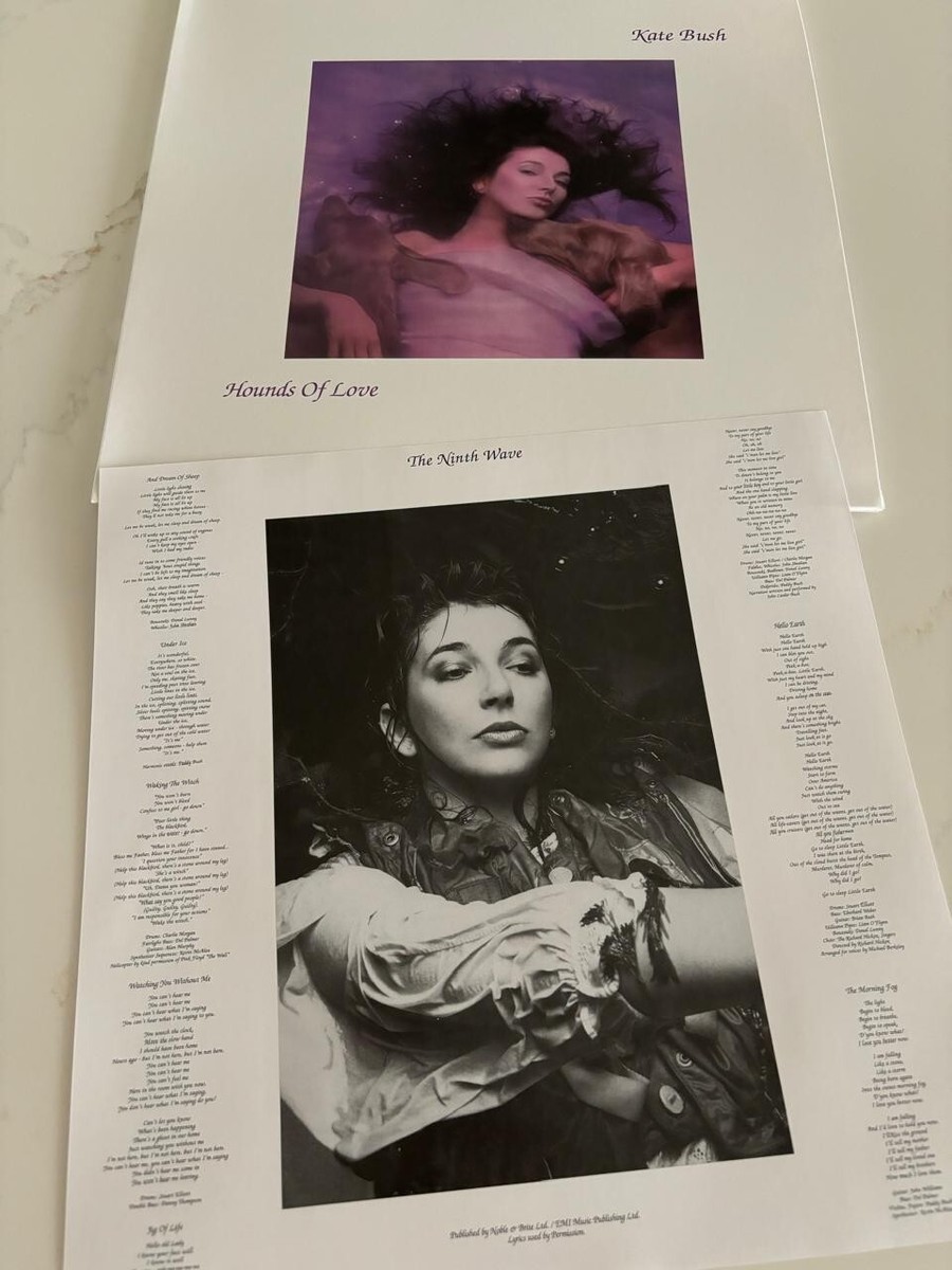 hounds of love(UK盤マト1チラシ入り）/kate bush Kate Bush – Hounds