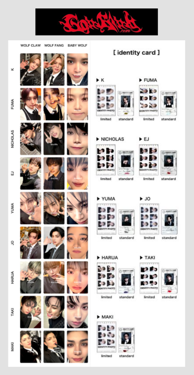 &TEAM Japan 3rd SINGLE 月狼 Go in Blind JAPAN BABY WOLF Ver Solo