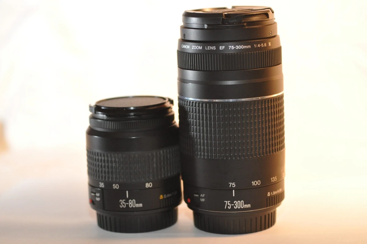Canon EF 75-300mm Camera Lenses for sale | eBay