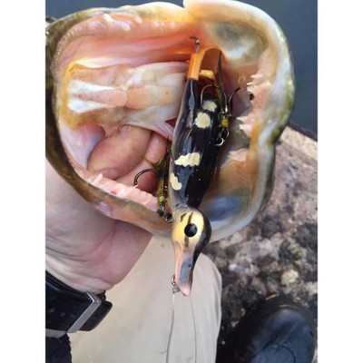 Savage Gear 3D Suicide Duck Lures - Pike Zander Musky Catfish