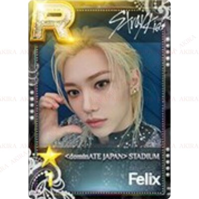 STRAY KIDS dominATE JAPAN SHIZUOKA ECOPA SUPER STAR JYP NATION