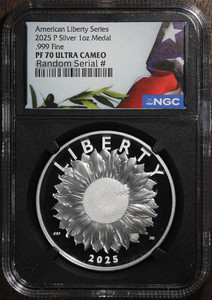 Big Apple Coins | eBay Stores