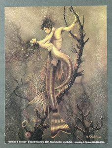 ANIMEROTICS / David Delamare洋書 画集 アート ANIMEROTICS / David