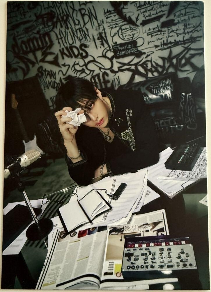 Stray Kids domin ATE AUSTRALIA World Tour VIP Official Post card