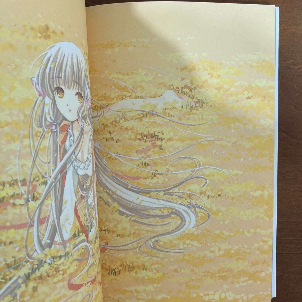 Clamp Chobits Chi Photographics Your Eyes Only Art Book