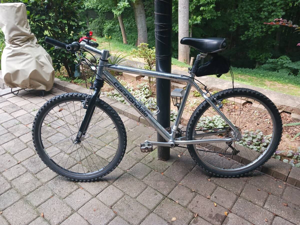 Vintage Cannondale CAD2 F500 Mountain Bike Headshok Silver L Frame