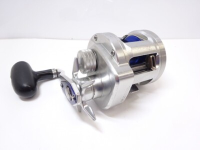 Daiwa Ryoga BJ C2020 PE-H Baitcast Fishing Reel | eBay